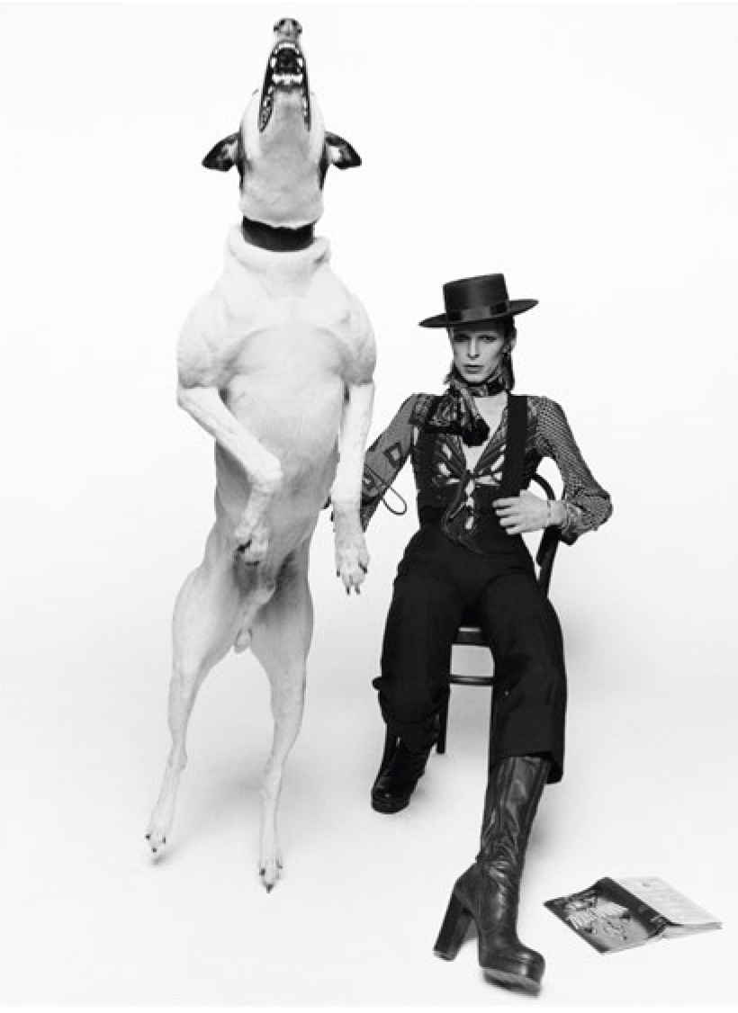 David Bowie with Jumping Dog by Terry O&#39;Neil